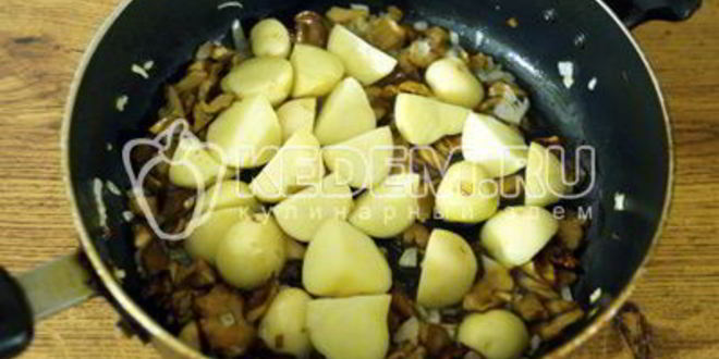 Рецепт лисичек жареных с картофелем