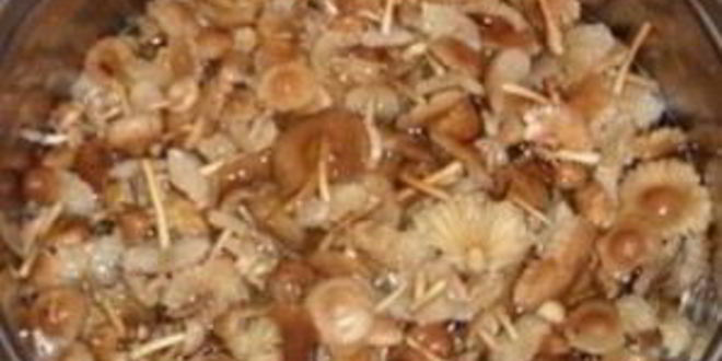 Рецепт опят с картошкой в духовке