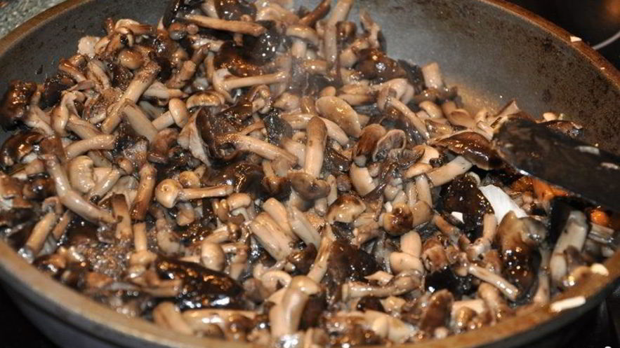 Рецепт опят тушеных