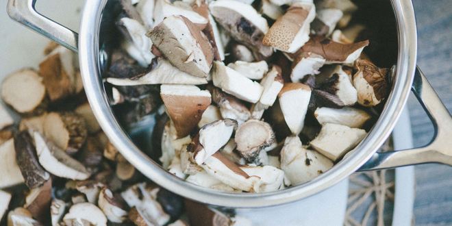 Рецепт отварных лесных грибов