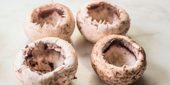 Рецепт шампиньонов фаршированных