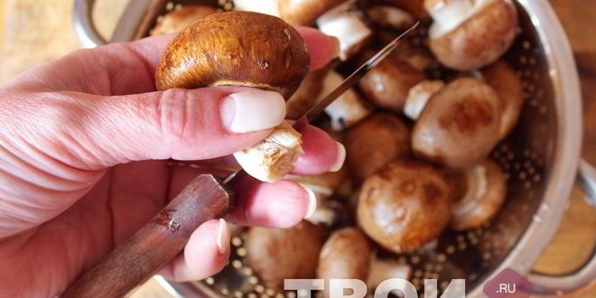 Рецепт шампиньонов гриль