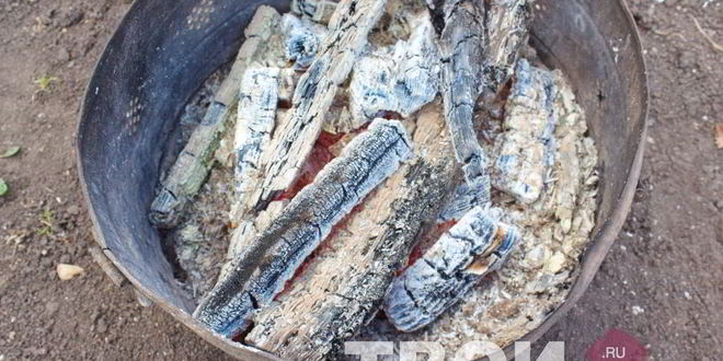 Рецепт шампиньонов гриль