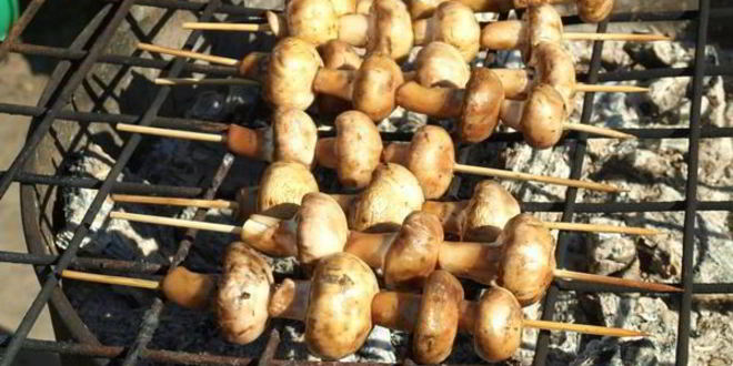 Рецепт шампиньонов на шпажках на мангале