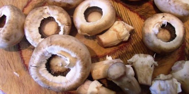 Рецепт шампиньонов с эстрагоном