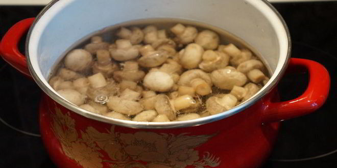 Рецепт соленых шампиньонов