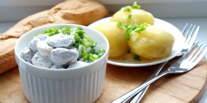 Рецепт соленых шампиньонов