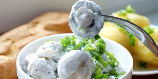 Рецепт соленых шампиньонов