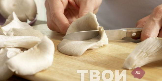Рецепт вешенок жареных