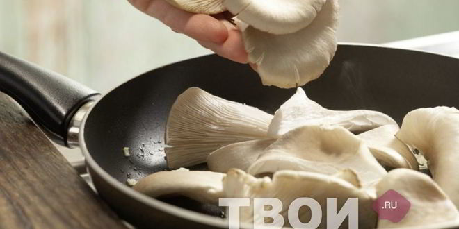 Рецепт вешенок жареных