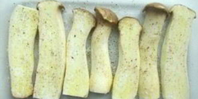 Рецепт запеченных вешенок