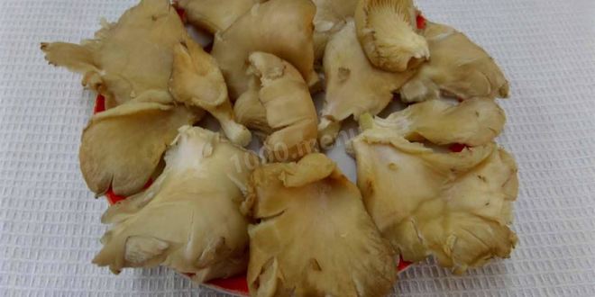 Рецепт жареных грибов с чесноком