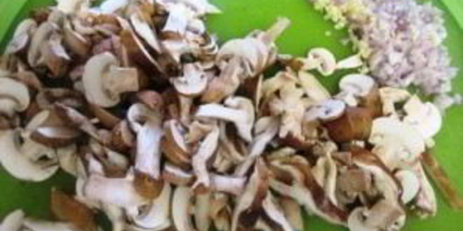 Рецепт жареных грибов с макаронами