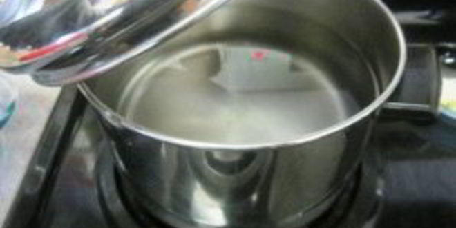 Рецепт жареных грибов с макаронами