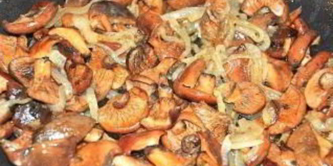Рецепт жареных рыжиков