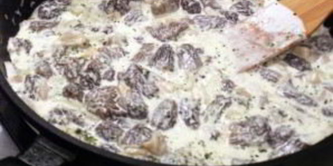 Рецепт жареных сморчков в сметане