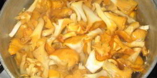 Рецепт гуляша из лисичек