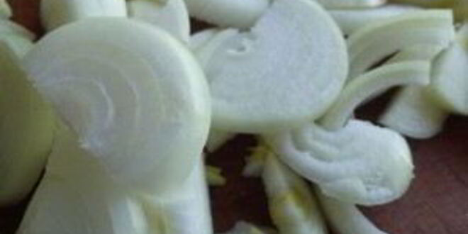 Рецепт гуляша из желудков куриных