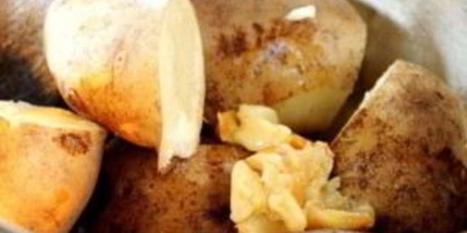 Рецепт картофельного пюре с чесноком и сыром