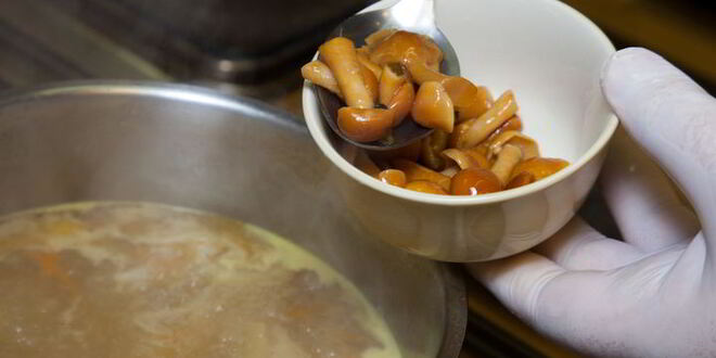 Рецепт куриной лапши с опятами