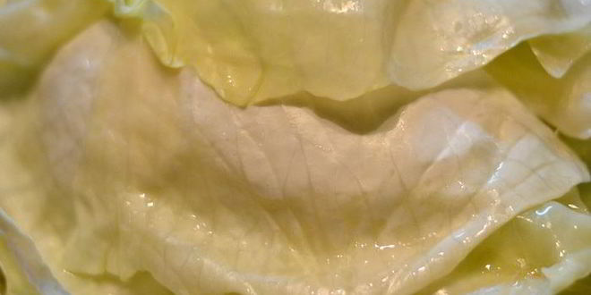 Рецепт ленивого голубца-лазаний