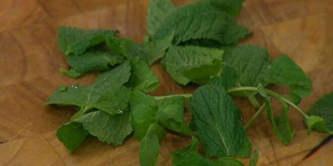 Рецепт макарон-ракушек со спаржей, горохом и беконом