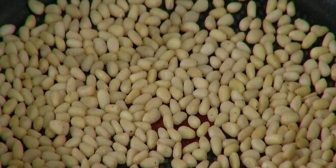 Рецепт пасты с курицей, оливками и соусом песто