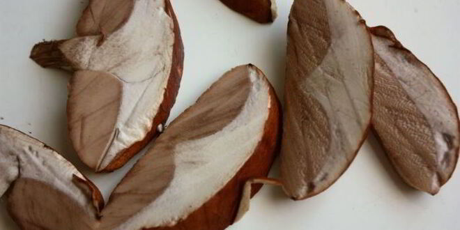 Рецепт пасты с лесными грибами в лимонном масле