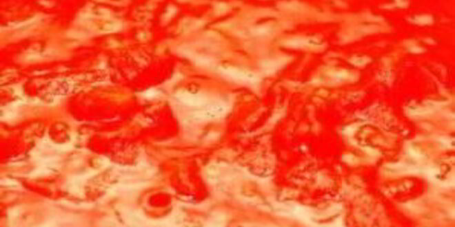 Рецепт спагетти по-итальянски