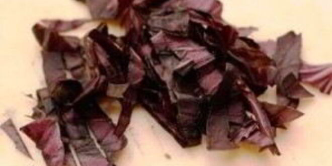 Рецепт спагетти по-итальянски