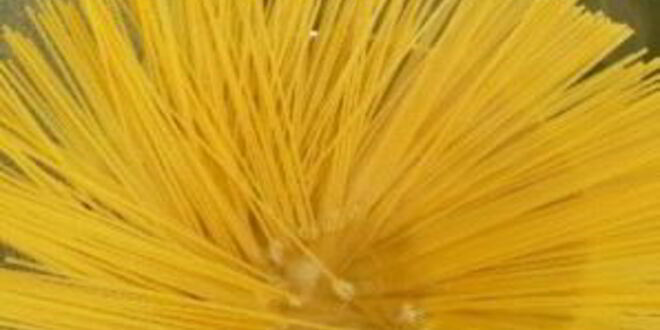 Рецепт спагетти с сардинами и сухариками