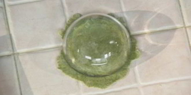 Рецепт мантов с зеленью