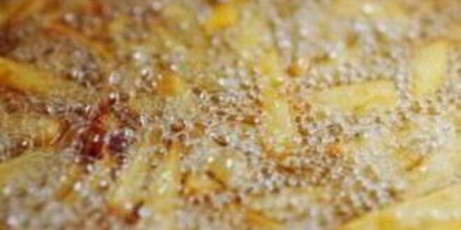 Рецепт картофеля-фрей по-французски