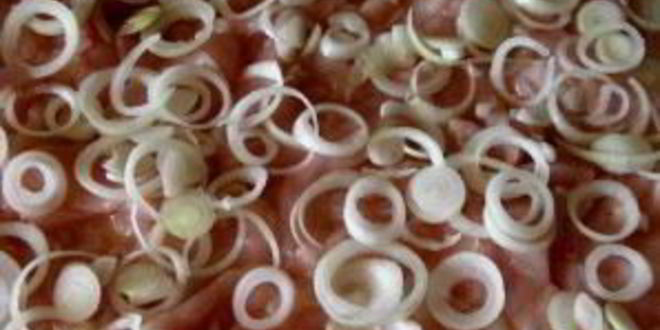 Рецепт мяса по-французски из индейки