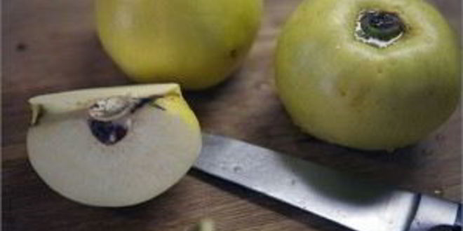 Рецепт дикого гуся в духовке