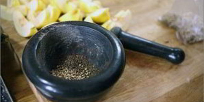 Рецепт дикого гуся в духовке