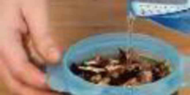 Рецепт запеченной в духовке шейка с овощами и грибным соте