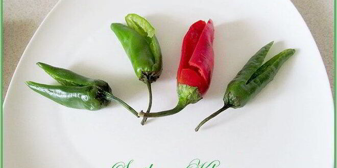 Рецепт фаршированных баклажанов