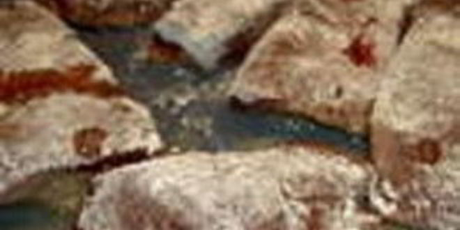 Рецепт печени телячья по-берлински