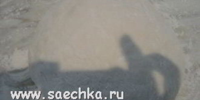 Рецепт плова крокодил на пире