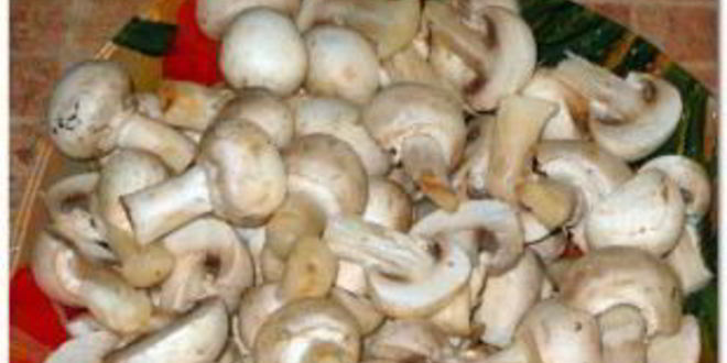 Рецепт плова с грибами и курицей