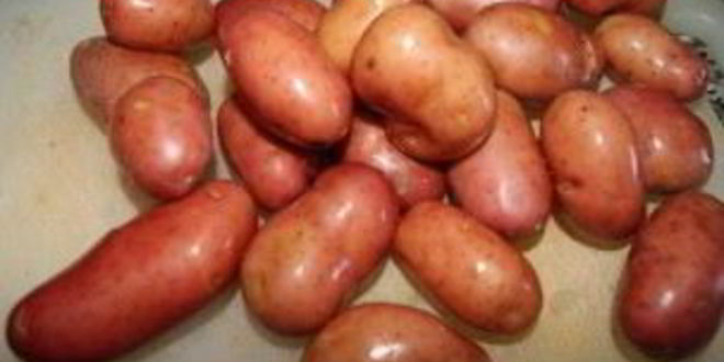 Рецепт рагу из картофеля и мяса