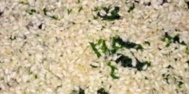 Рецепт ризотто классического