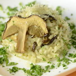 Рецепт Ризотто с белыми грибами