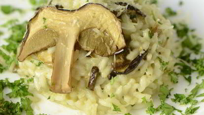 Рецепт Ризотто с белыми грибами