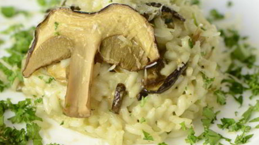 Рецепт ризотто с белыми грибами
