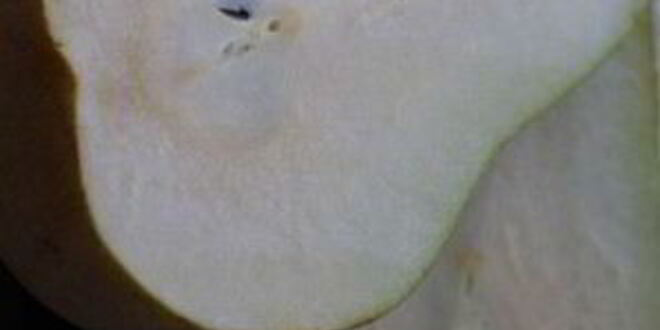 Рецепт ризотто с горгонзолой и грушей