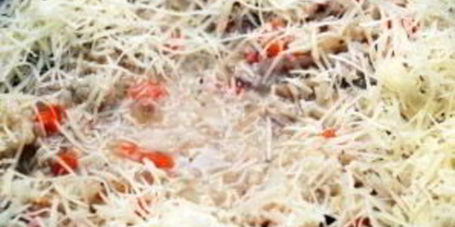 Рецепт ризотто с индейкой