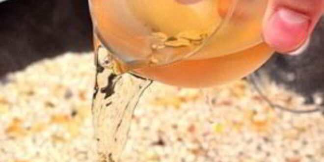 Рецепт ризотто с креветками и горошком