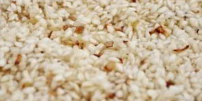 Рецепт ризотто с вялеными помидорами